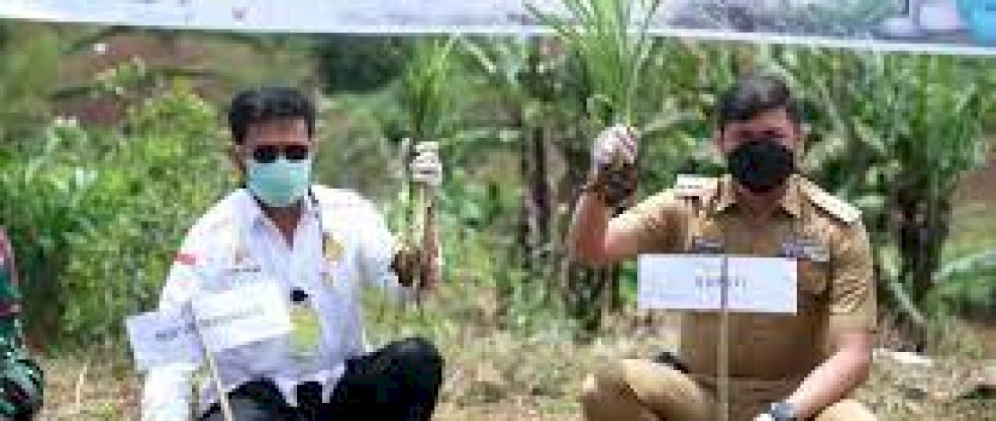 Inkubator Sapi Perah Mulai Dibangun, Mentan Target Agustus Hasilnya Dinikmati