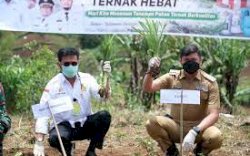 Inkubator Sapi Perah Mulai Dibangun, Mentan Target Agustus Hasilnya Dinikmati