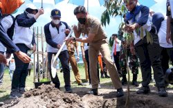 Tanam Pohon di Hari Air Sedunia, Adnan Harap Menjaga Ketersediaan Air