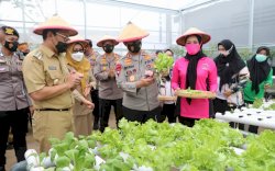 Wali Kota Makassar - Kapolda Sulsel Panen Perdana di Rumah Bibit Bhayangkari