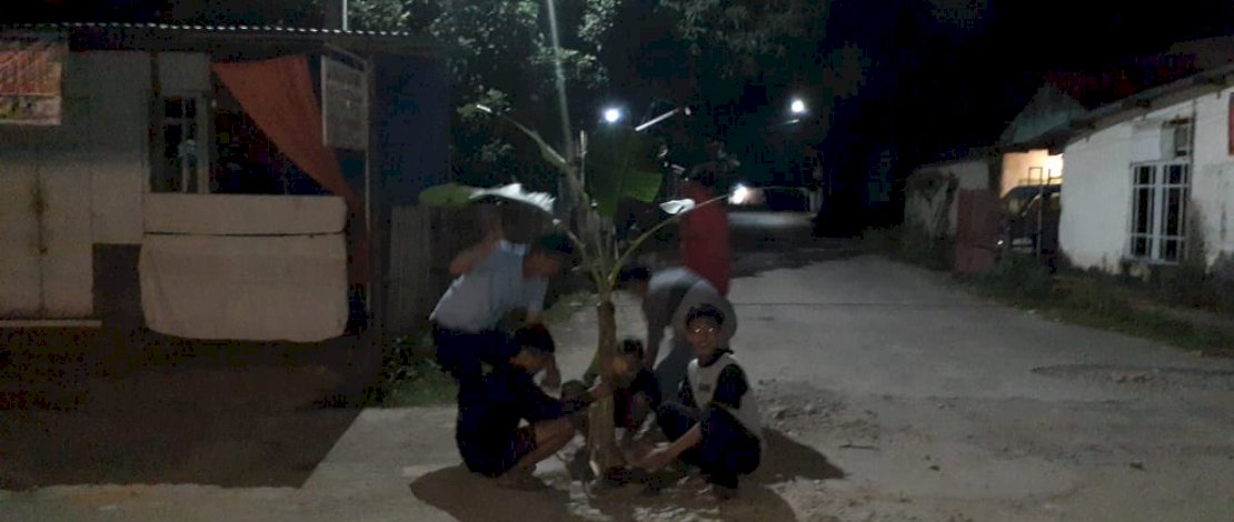 Warga Pangkep menanam pohon di jalan yang rusak. IST