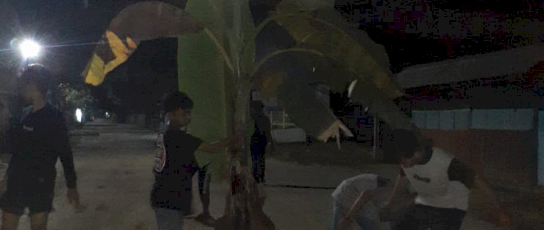 Warga Pangkep menanam pohon di jalan yang rusak. IST