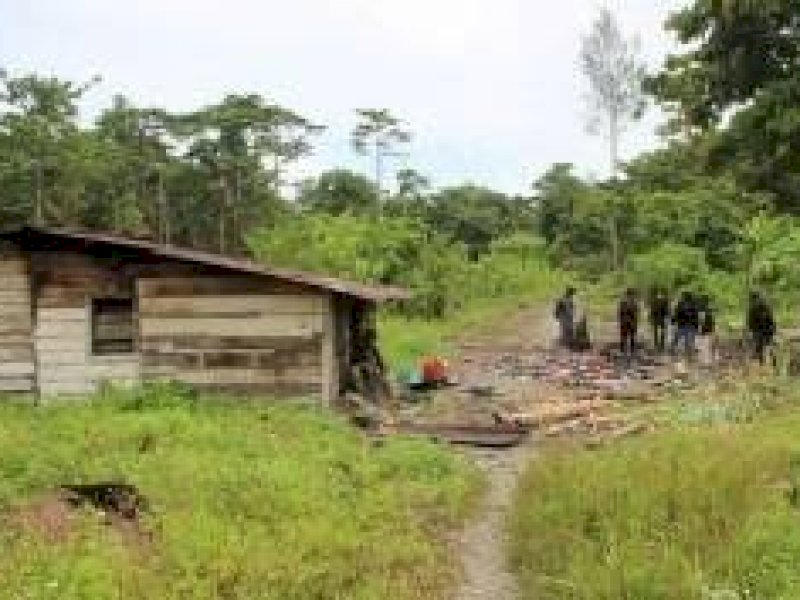 Detik-detik Kelompok Separatis Teroris Papua Tembak Mati Kepala BIN Papua