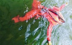 Kondisi Jaket Pelampung Ini Menggambarkan Bagaimana Kepanikan Awak Nanggala Saat Situasi Darurat