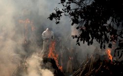 Krematorium di Delhi Kewalahan, Mayat Terpaksa Dibakar di Taman