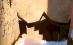 Dua Tahun Menggali, Kakek Sebatangkara di Bone Bikin Istana di Bawah Tanah