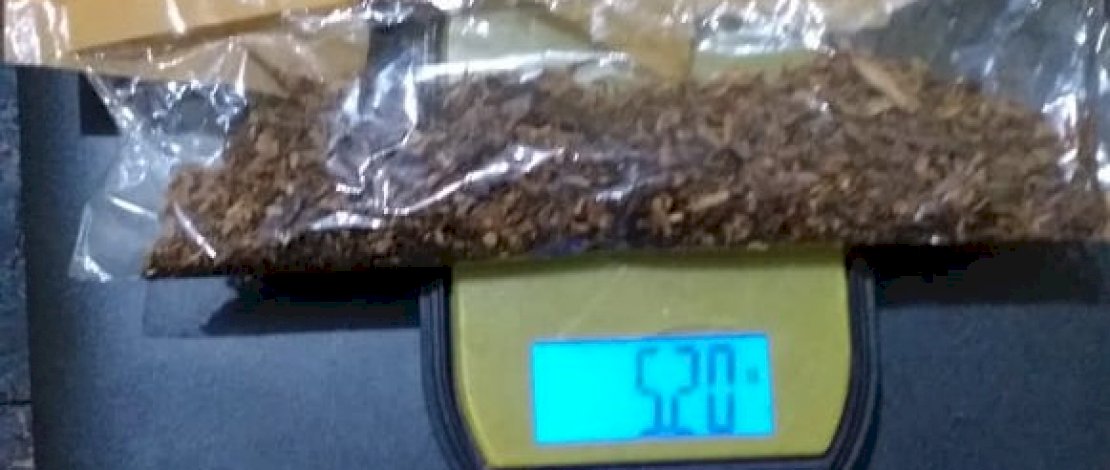 Polres Sinjai Ungkap Peredaran Tembakau Gorila, Satu Pelaku Diamankan