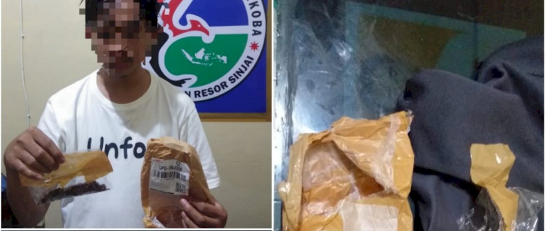 Polres Sinjai Ungkap Peredaran Tembakau Gorila, Satu Pelaku Diamankan