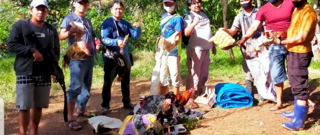 Arena judi sabung ayam di Dusun Katangka, Desa Karama, Bulukumba. Arena judi sabung ayam di Dusun Katangka, Desa Karama, Bulukumba.