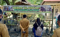 Awal yang Baik, 6 Inovasi Luwu Utara Lolos Seleksi Administrasi KIPP Tingkat Nasional