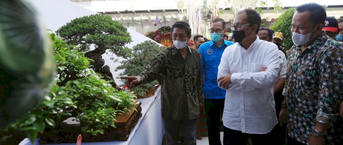 Danny Pomanto Sebut Bonsai Pemicu Makassar Jadi Kota Dunia