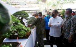 Danny Pomanto Sebut Bonsai Pemicu Makassar Jadi Kota Dunia