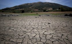 Penelitian: Pemanasan Global Menyebabkan 37% Kematian Akibat Panas