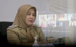 Fatmawati Rusdi Pamer Trik Pemkot Makassar Tangani Covid-19 Dalam Kegiatan Launching Analisa Data ADB