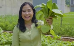 Rumah Miliaran Prilly Punya Kebun yang Luas Benget, Loh ! 