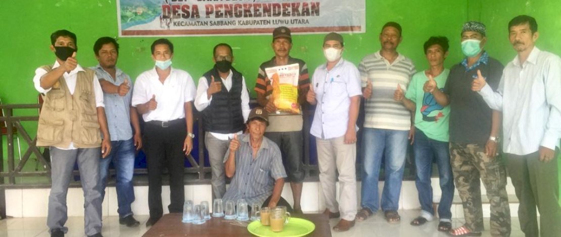 Benih jagung Betras 1 tumbuh baik di Lutra.