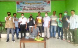 Penuhi Standar Mutu, Benih Jagung Betras 1 Tumbuh Baik di Luwu Utara