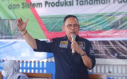 Naiknya NTP 0,19 persen, Andi Akmal Terus Dorong Pemerintah untuk Tingkatkan Kesejahteran Petani