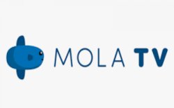 Mau Nonton Gratis Film Favoritemu Selama PPKM di Mola TV?, Begini Caranya ! 