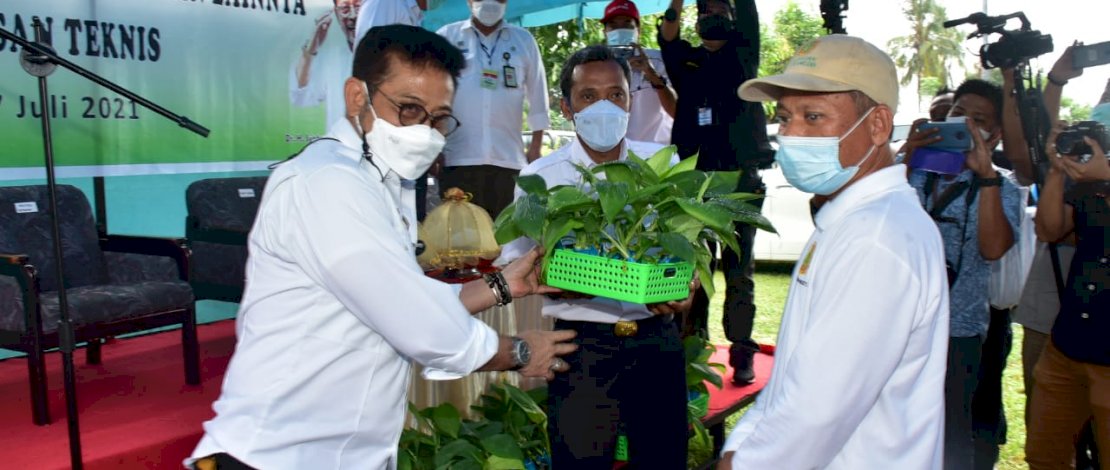 Menteri Pertanian Syahrul Yasin Limpo, menyerahkan bantuan bibit pohon pisang secara simbolis kepada Wakil Bupati Jeneponto Paris Yasir, Rabu, 7 Juli 2021.