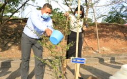 Wujudkan Lokasi Asri dan Nyaman, The Rinra - Phinisi Point Tanam 100 Pohon Ketapang 