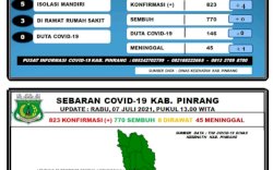 Kasus Positif di Kabupaten Mulai Meningkat, Kadis Kesehatan Pinrang: Masyarakat Tetap Patuhi Prokes