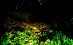 Cuaca Buruk, Tanah Longsor di Kec Tellu Limpoe Kab Bone, Warga Diminta untuk Mengungsi 