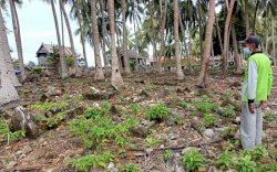 Makam Tak Bernama di Selayar, Diperkirakan Usianya Satu Abad