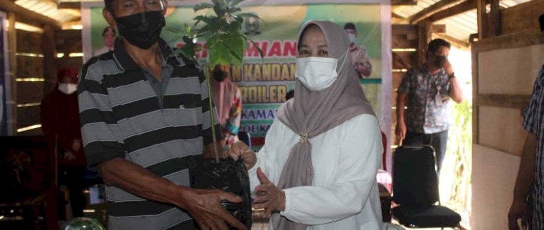 Wakil Bupati Sinjai, Andi Kartini Ottong, menyerahkan bantuan bibit kepada Desa Sukamaju, Sabtu, 10 Juli 2021. Wakil Bupati Sinjai, Andi Kartini Ottong, menyerahkan bantuan bibit kepada Desa Sukamaju, Sabtu, 10 Juli 2021.