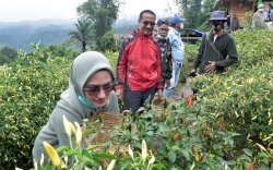 Habiskan Akhir Pekan, Bupati Lutra Nikmati Keindahan Alam Desa Wisata Rongkong