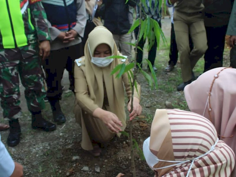Hutan Negara di Desa Bonto Bisa Dikelola Masyarakat, Wabup Sinjai Ingatkan Soal Aturan Main