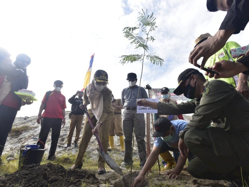 Kenang Satu Tahun Bencana Banjir Pemda Lutra Bersam Forkopimda Tanam 3.110 Pohon di Bantaran Sungai