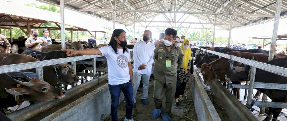 Wali Kota Makassar Moh Ramdhan “Danny” Pomanto, Mentan Syahrul nampak teliti dalam memperhatikan kondisi beberapa hewan qurban.
