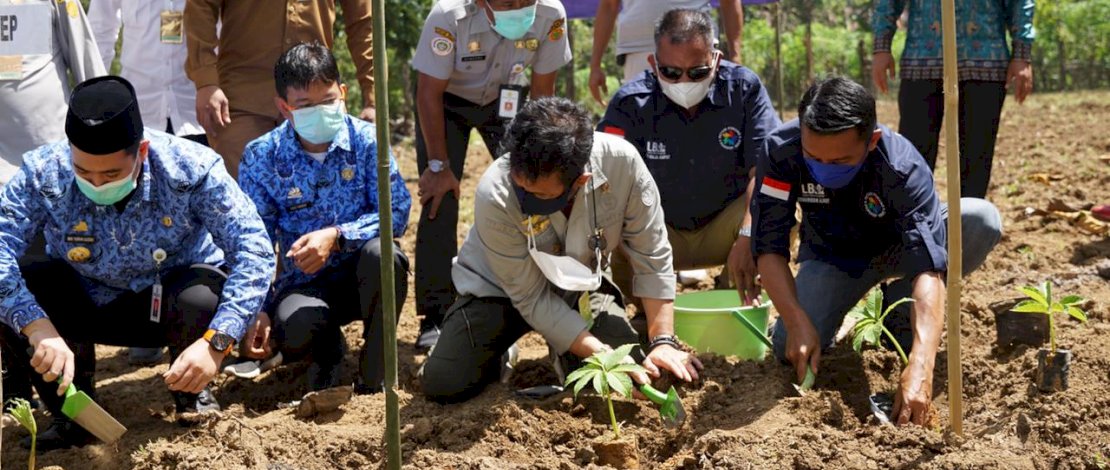 Menteri Pertanian Syahrul Yasin Limpo, melakukan penanaman porang, di Kampung Celai, Kelurahan Balleanggi, Kecamatan Balloci, Kabupaten Pangkep, Senin, 19 Juli 2021. Menteri Pertanian Syahrul Yasin Limpo, melakukan penanaman porang, di Kampung Celai, Kelurahan Balleanggi, Kecamatan Balloci, Kabupaten Pangkep, Senin, 19 Juli 2021.