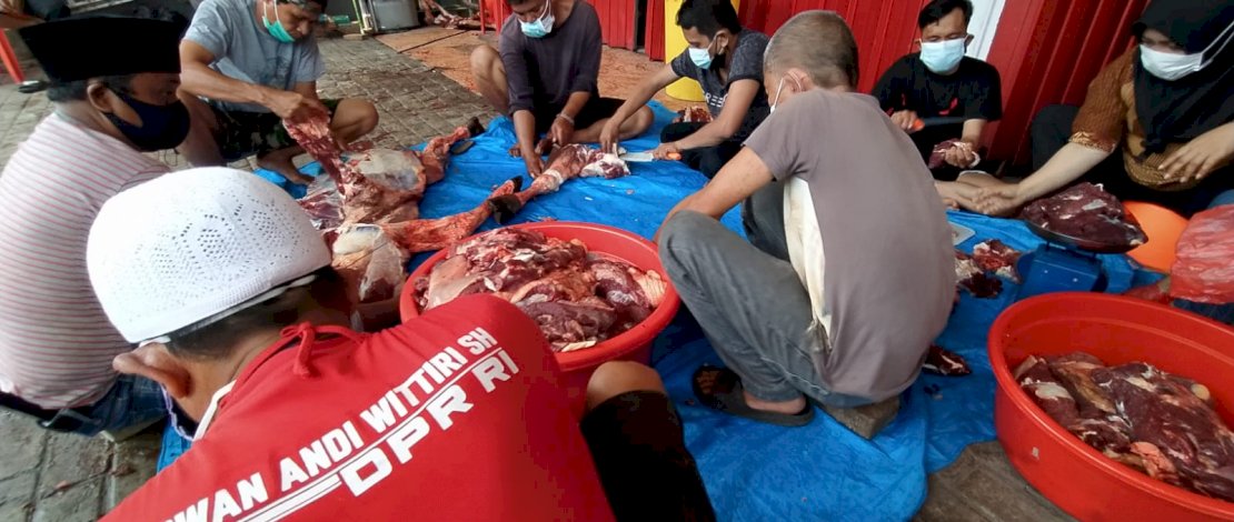 Pemotongan hewan kurban di Kantor PDIP Sulsel. Tahun ini, para pengurus PDIP berkurban 125 ekor sapi.