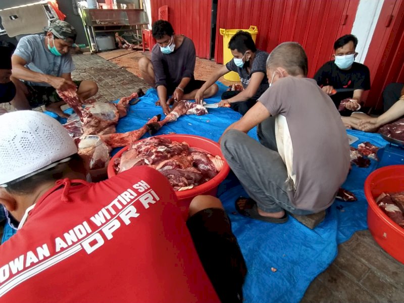 Pengurus PDIP Sulsel Kurban 125 Ekor Sapi