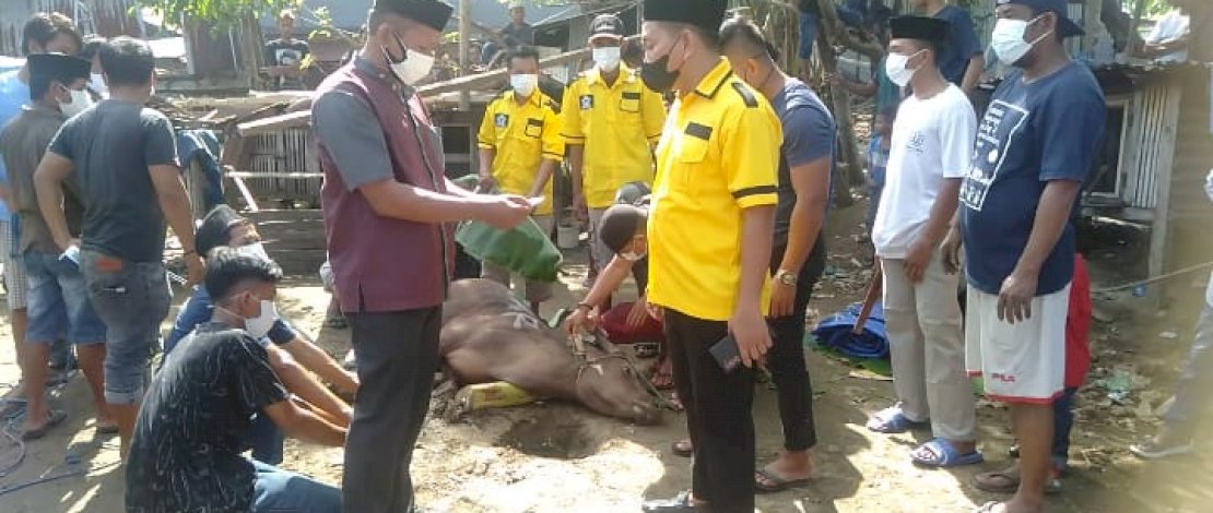 Dukung PPKM, Kader Golkar Makassar Kurbankan Tiga Ekor Sapi