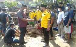 Dukung PPKM, Kader Golkar Makassar Kurbankan Tiga Ekor Sapi