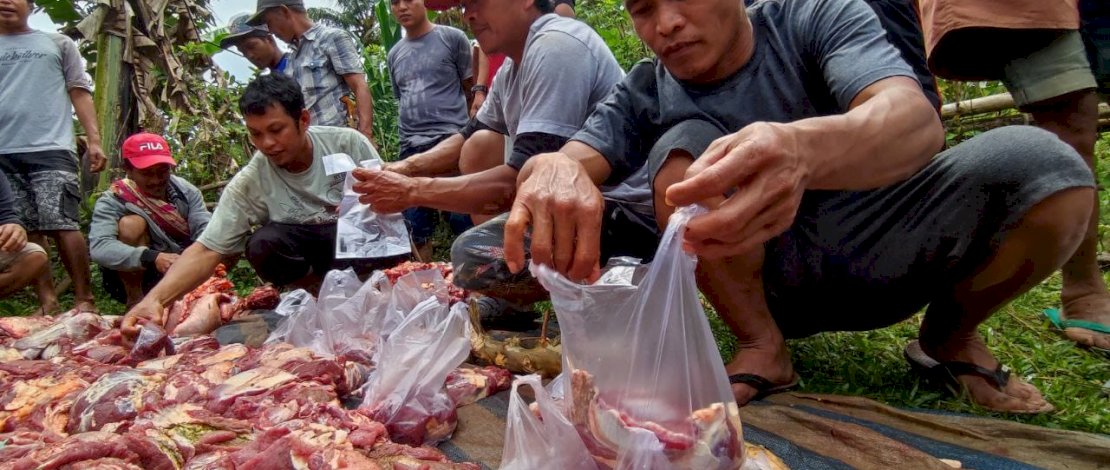 Pembagian daging kurban kepada warga pedalaman di Tana Toraja, yang dilakukan ACT bersama Global Qurban, Jumat (23/7/2021).