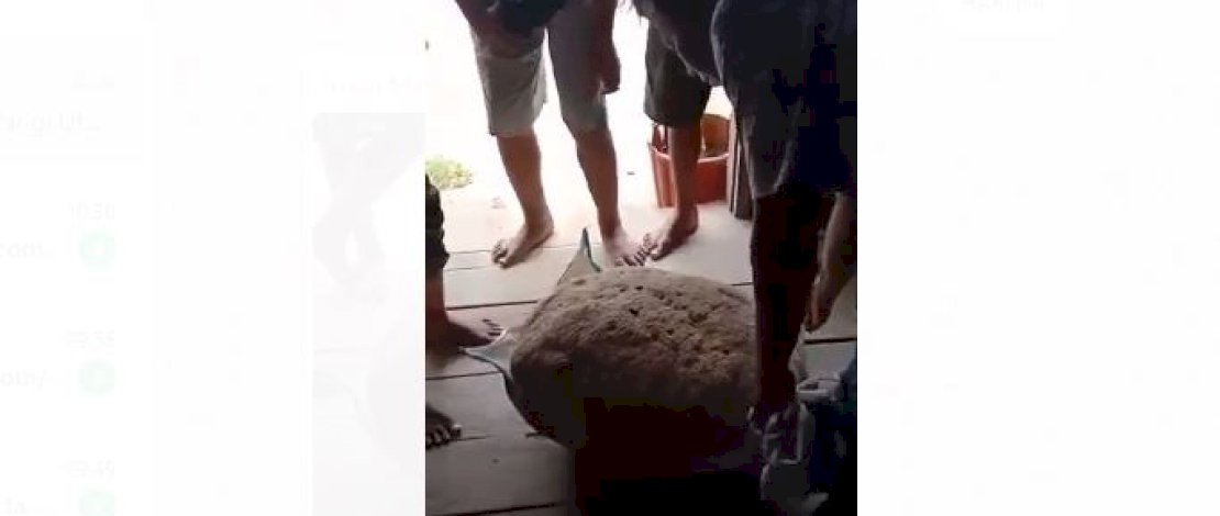 Tangkapan layar batu terapung di Parigi Utara, Sulteng. 