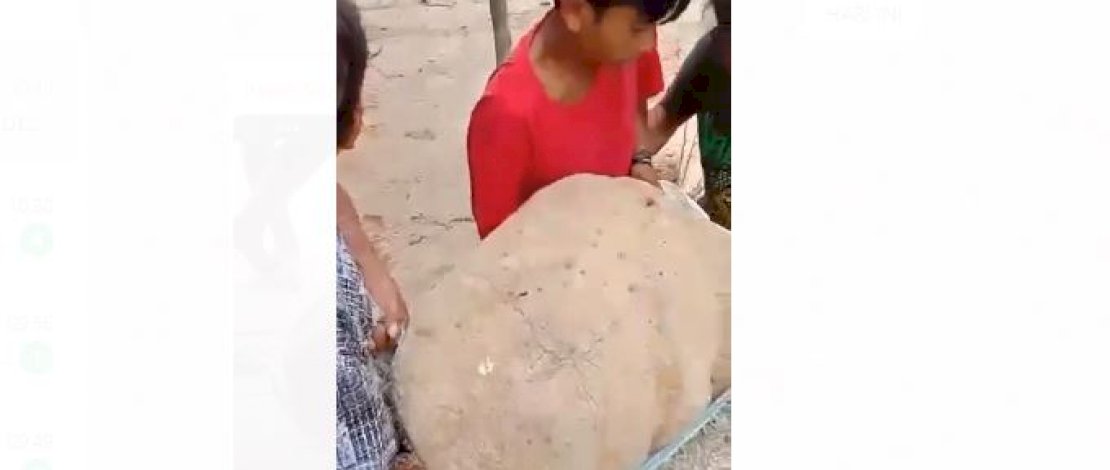 Tangkapan layar batu terapung di Parigi Utara, Sulteng. 