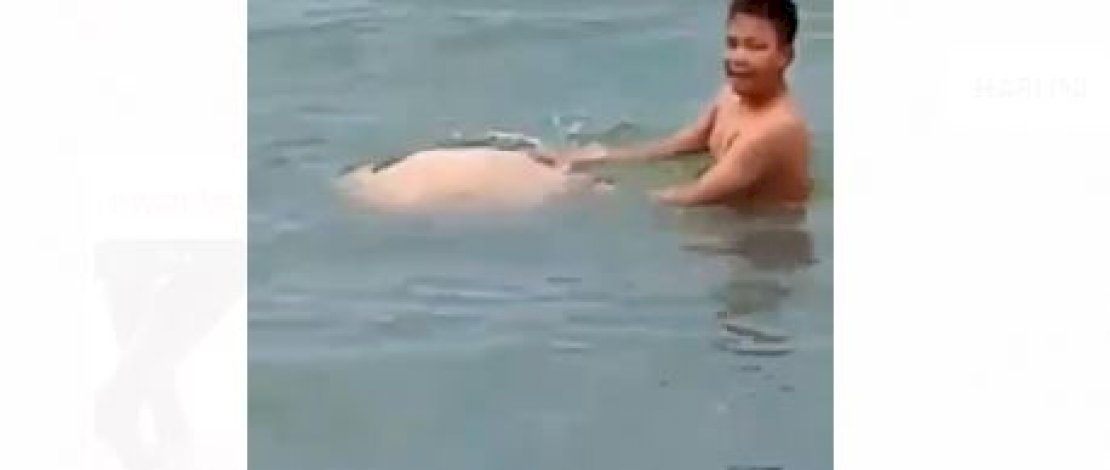 Tangkapan layar batu terapung di Parigi Utara, Sulteng. 