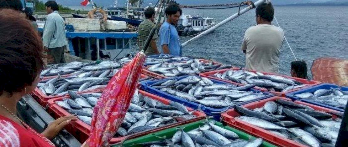 Pandemi Tak Pengaruhi Nilai Ekspor Perikanan Indonesia, Semester I Naik 7,3 Persen 