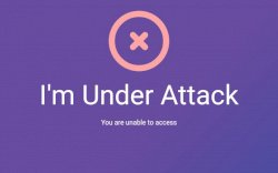 Tak Bisa Diakses, Portal Pemda Luwu Utara Terkena Serangan DDOS