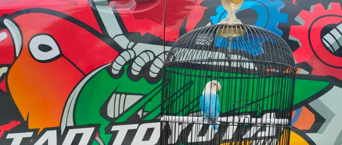 Burung berkicau Sultan dan pialanya.