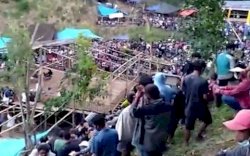 Viral Sabung Ayam Ditonton Ratusan Orang di Tana Toraja, Polisi Periksa Pemilik Hajatan