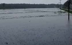 Banjir Rendam Bone Utara, Jalur Poros Bone-Wajo Terganggu