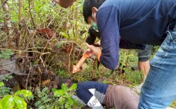 Pamit Belajar Kelompok ke Rumah Teman, Gadis Barru Ini Ditemukan Tak Bernyawa di Tanah Kosong