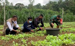 Tingkatkan Kapasitas SDM, Brimob Bone-Kodim 1407 Gelar Pelatihan Program Pekarangan Pangan Lestari