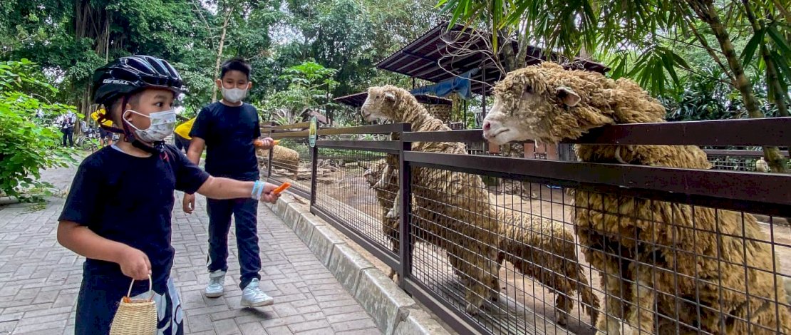 Suasana Zoopedaan Dafam Hotel Yogyakarta.